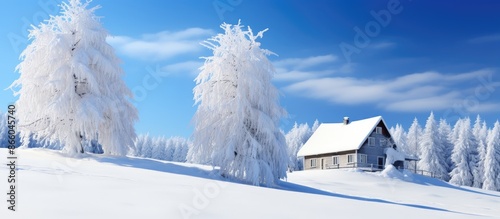 Snow-covered house and Chri...