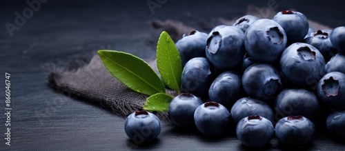 Ripe blueberries held with ...