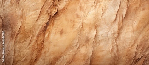 Attractive natural tree bar...