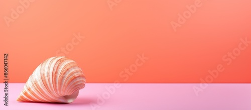 A seashell against a colorf...