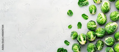 Delicious brussel sprouts on a white backdrop with copy space image. photo