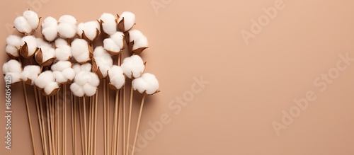 Wooden cotton bud arrangeme...