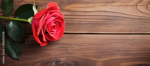 Valentine's Day background ...