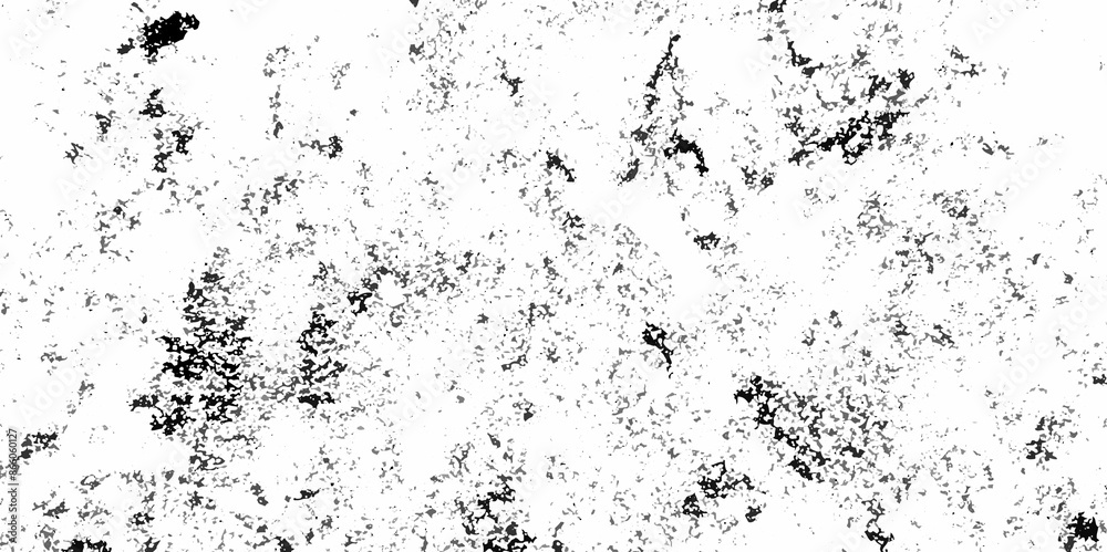 Abstract white and black texture of a grunge concrete wall with cracks and scratches background. distressed grunge concrete wall texture. abstract vintage of old surface texture background. Abstract white and black texture of a grunge concrete wall with cracks and scratches background. distressed grunge concrete wall texture. abstract vintage of old surface texture background.