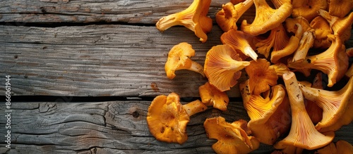Chanterelles arranged attra...
