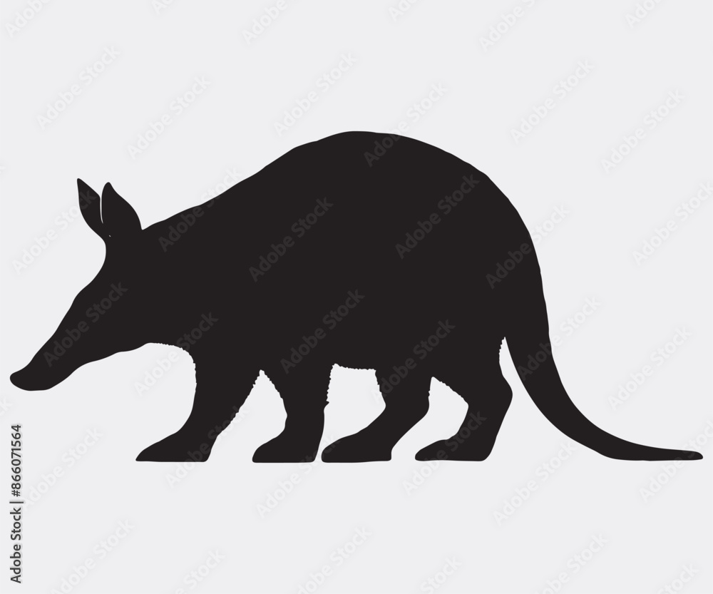 Obraz premium Aardvark Silhouette, vector