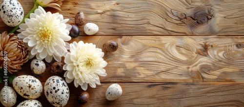 Easter-themed wooden background with a chrysanthemum flower, quail eggs, and copy space image.