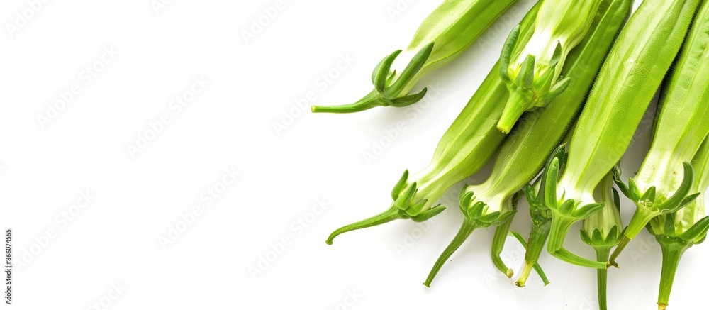 Okra isolated on a blank background, with ample copy space image.