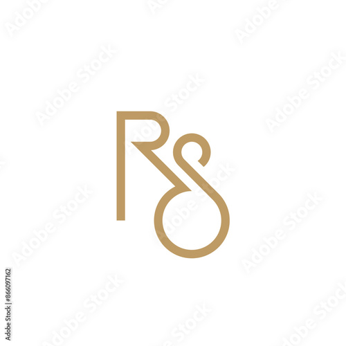 RS monogram fashion logo in gold color. R & S wedding luxury logo