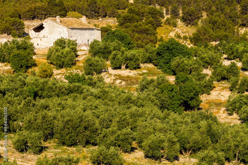 Fototapeta premium Huesa, sierras de Cazorla, Segura y Las Villas, Jaen, Andalucia, Spain