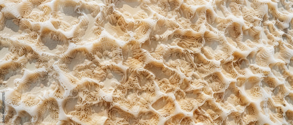 Panoramic close-up, high detail scan of coral sand material, Generative AI Panoramic close-up, high detail scan of coral sand material, Generative AI