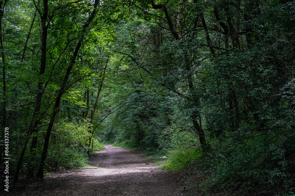 Obraz premium LE CHEMIN