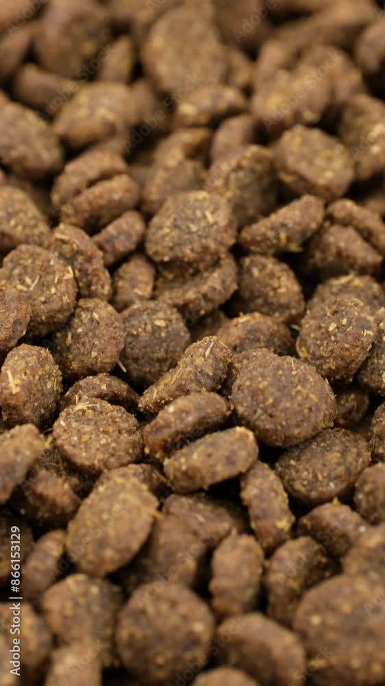 Dry dog food or cat food in plate, slider shot