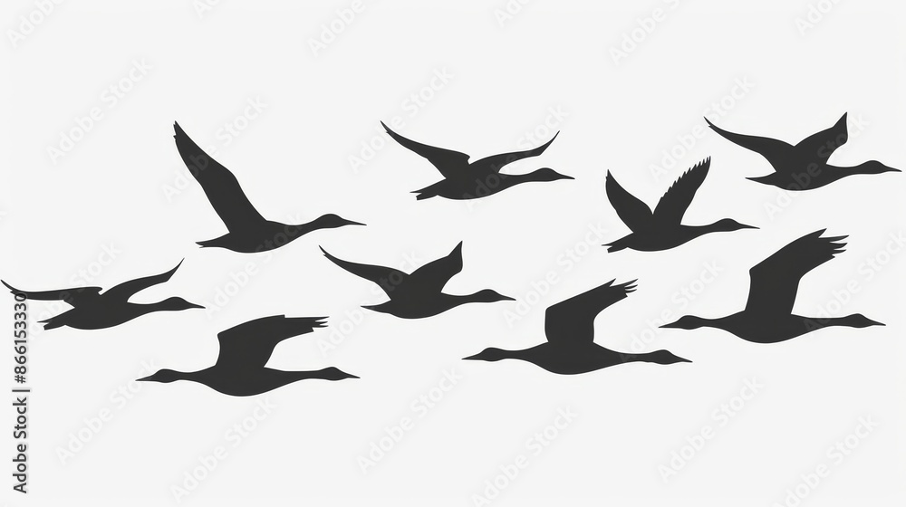 silhouette of a bird silhouette of a bird