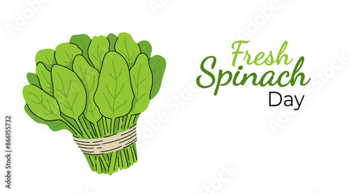 Flat style spinach leaves isolated on a white background, bunch of greens as a banner, poster or template, national spinach day, fresh spinach day.