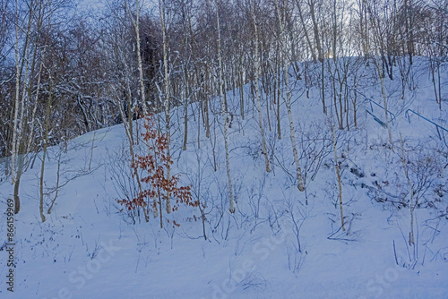 Vire of nature near the highway in winter season of Japan photo