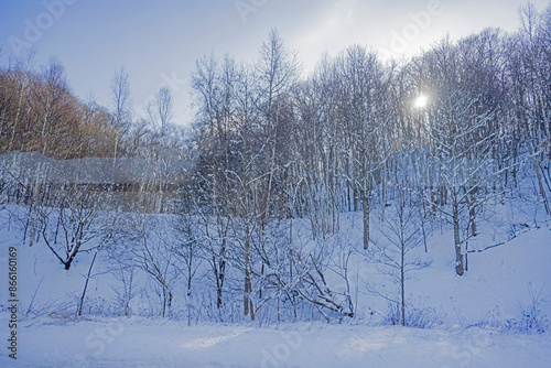 Vire of nature near the highway in winter season of Japan