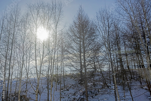 Vire of nature near the highway in winter season of Japan photo