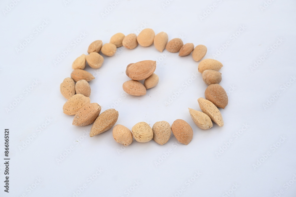 Almond with shell. It's other name Prunus amygdalus and Prunus dulcis. The almond is also the name of the edible and widely cultivated seed of this tree. indian almond. Almond with shell. It's other name Prunus amygdalus and Prunus dulcis. The almond is also the name of the edible and widely cultivated seed of this tree. indian almond.
