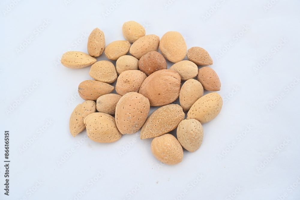 Almond with shell. It's other name Prunus amygdalus and Prunus dulcis. The almond is also the name of the edible and widely cultivated seed of this tree. indian almond. Almond with shell. It's other name Prunus amygdalus and Prunus dulcis. The almond is also the name of the edible and widely cultivated seed of this tree. indian almond.