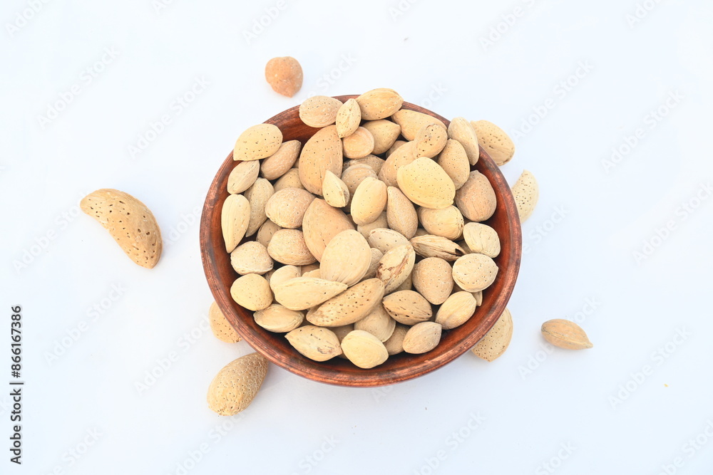Almond with shell. It's other name Prunus amygdalus and Prunus dulcis. The almond is also the name of the edible and widely cultivated seed of this tree. indian almond. Almond with shell. It's other name Prunus amygdalus and Prunus dulcis. The almond is also the name of the edible and widely cultivated seed of this tree. indian almond.