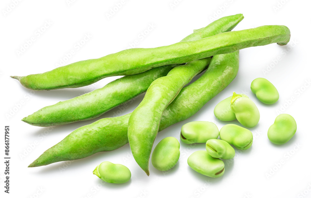 Green broad bean pod and several broad beans isolated on white background. Green broad bean pod and several broad beans isolated on white background.