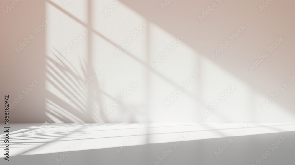 Abstract white studio background for product presentation. Empty room with shadows of window. Display product with blurred backdrop. potted plant Abstract white studio background for product presentation. Empty room with shadows of window. Display product with blurred backdrop. potted plant