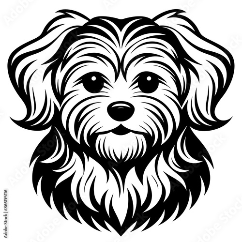 Maltese dog silhouette Vector and illustration isolated on white, design for laser cutting wall art and POD.