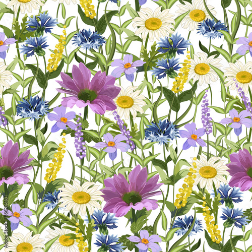 Vector pattern with flowers.Field and meadow flowers on a transparent background in a vector pattern.