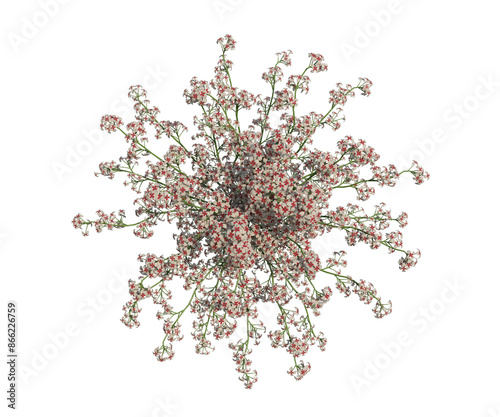 Albero con e senza foglie di vari colori verdi, gialle, rosse o, arancioni o multicolore fondo trasparente e isolato photo