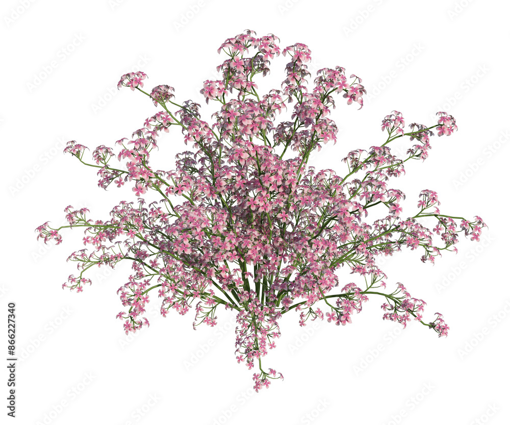Albero con e senza foglie di vari colori verdi, gialle, rosse o, arancioni o multicolore fondo trasparente e isolato Albero con e senza foglie di vari colori verdi, gialle, rosse o, arancioni o multicolore fondo trasparente e isolato