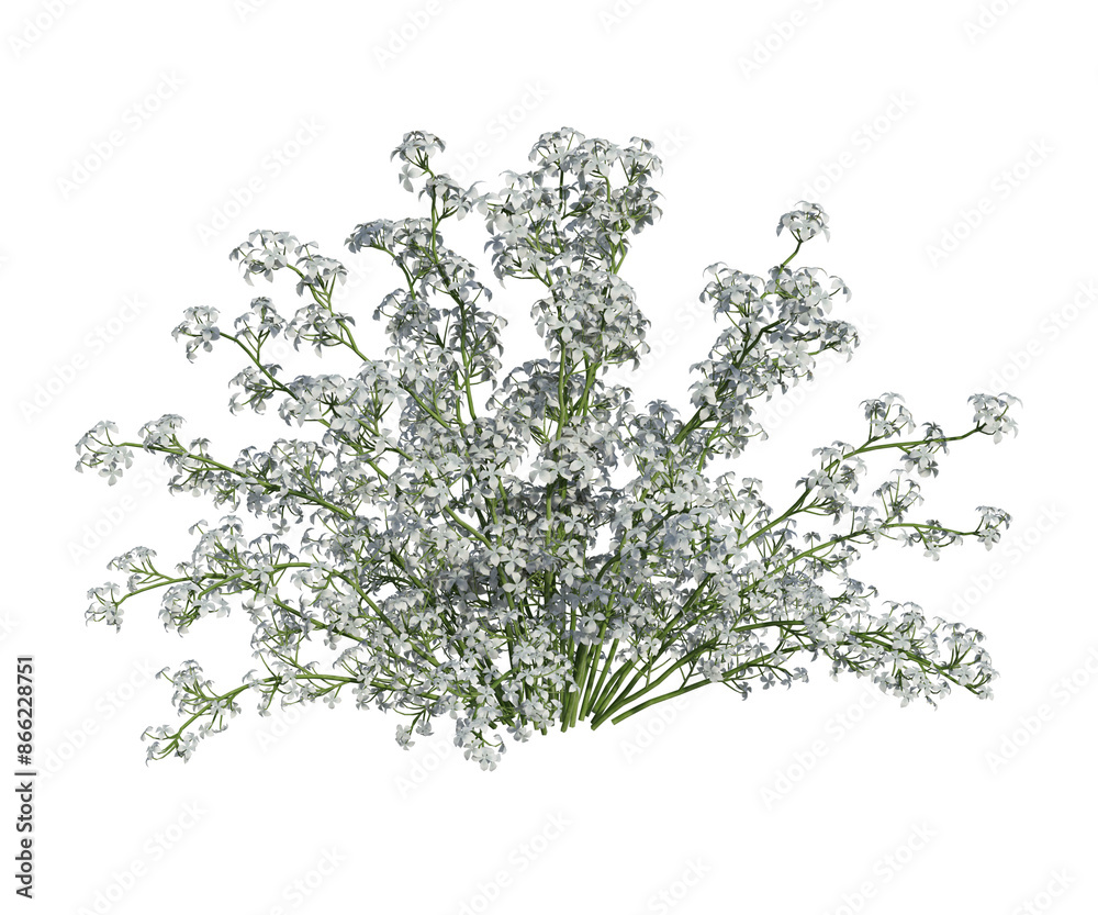Albero con e senza foglie di vari colori verdi, gialle, rosse o, arancioni o multicolore fondo trasparente e isolato Albero con e senza foglie di vari colori verdi, gialle, rosse o, arancioni o multicolore fondo trasparente e isolato