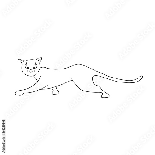 Crouching cat side view. Simple line illustration of a pet on a white background. Hand drawn.