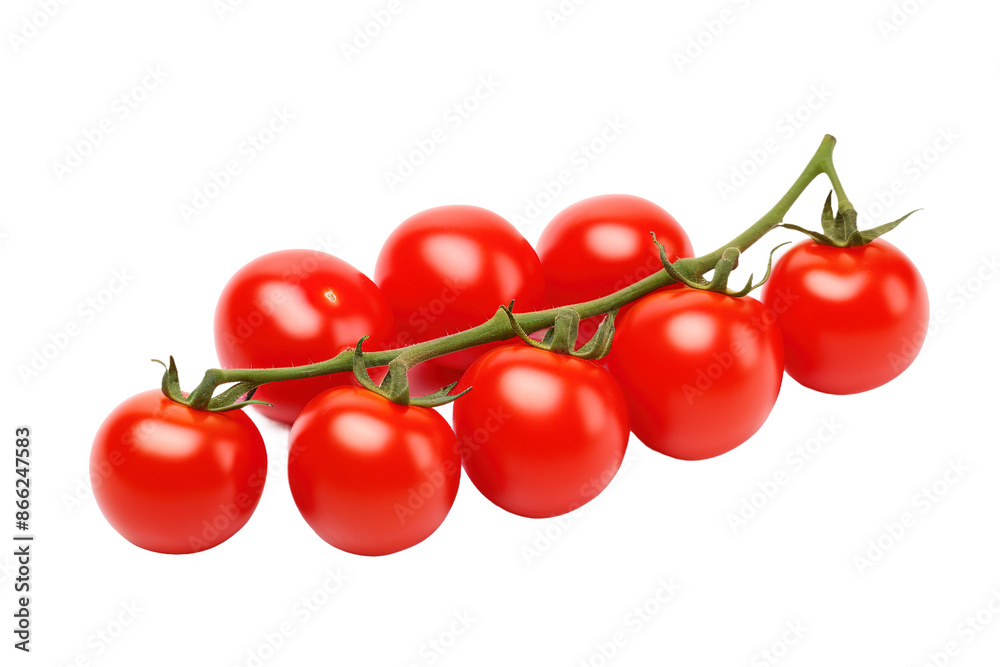 Crimson Harvest: A Symphony of Tomatoes Dancing on a Branch on White or PNG Transparent Background. Crimson Harvest: A Symphony of Tomatoes Dancing on a Branch on White or PNG Transparent Background.