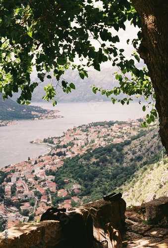 view of the Kotor bay in Montenegro