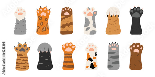 Vector set of cute cat paws. Different cat paws in hand drawn style. Collection of pets feet with claws and different fur. Objects isolated on white background. International day cats.