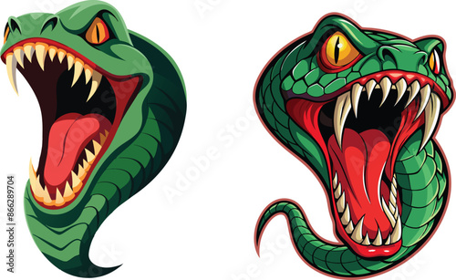 Green mamba snake baring fangs and attacking
