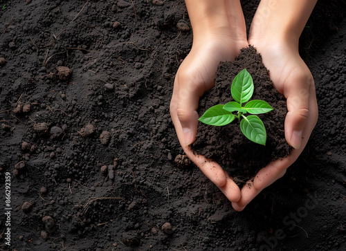 A pair of hands holding soil with a green plant, top view, Earth Day concept