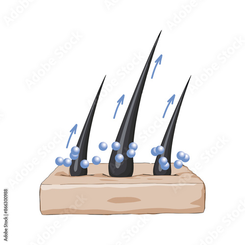 Hair follicle on a white background. Nourishing vitamins, minerals and trace elements for healthy hair growth. Toon sketch vector illustration