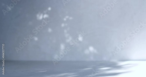 Natural background with beautiful diffused light and shadows. Beautiful texture for product presentation