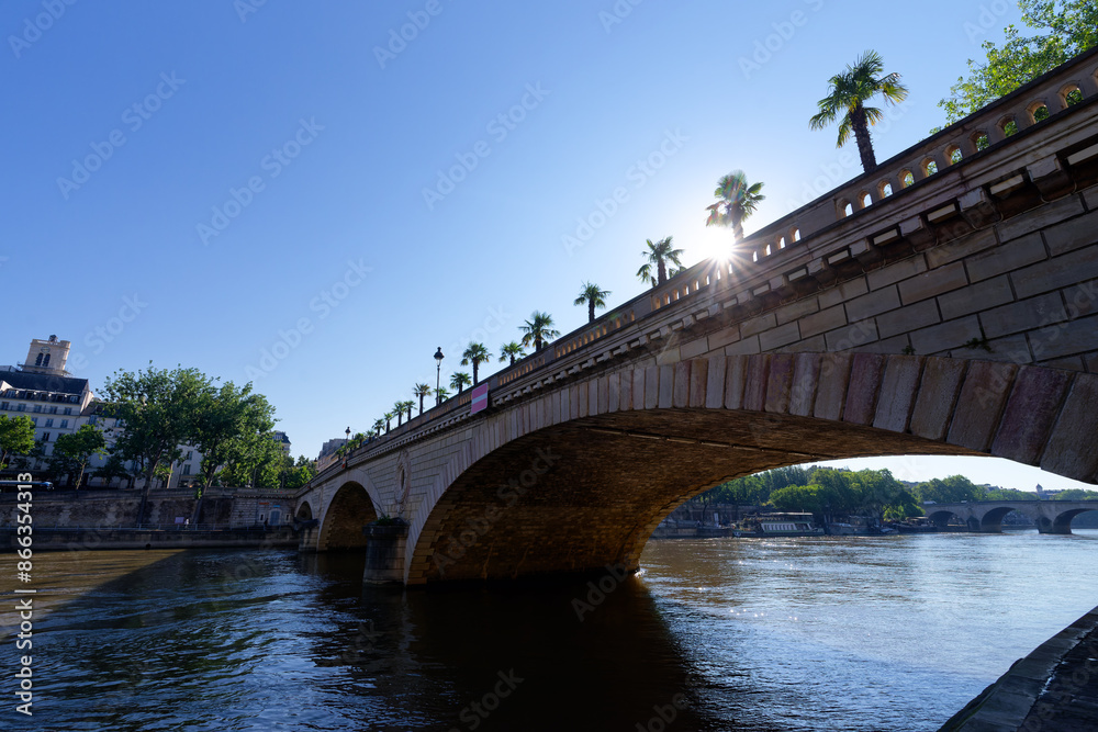 Naklejka premium Palm trees of the Louis-Philippe bridge in the 4th arrondissement of Paris city