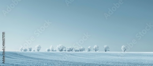 Winter landscape with row trees on horizon snow-covered field in foreground, snow tranquil
