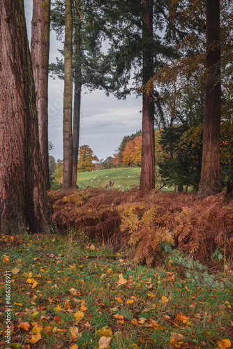 Autumn Colours Looking Beautiful 