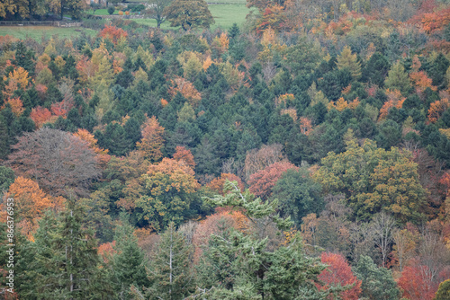 Autumn Colours Looking Beautiful 