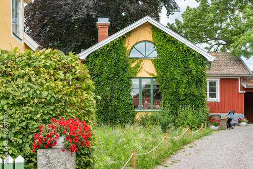 The facade of the old yellow house is covered with climbing ivy plants. Beautiful garden landscape design. A red petunia blooms in flower bed on granite pedestal at the entrance. 