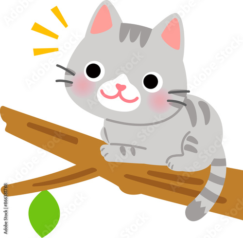 木の枝の上に座るサバトラ猫