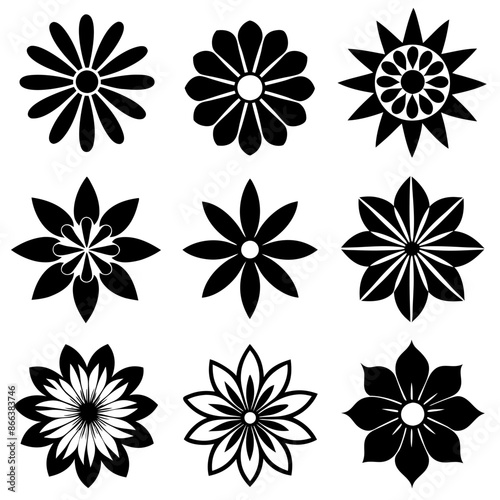 An arrangement of black and white flowers against a white backdrop