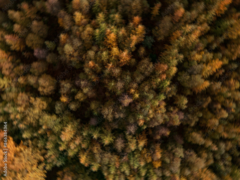 Beautiful Autumn Colours from above Beautiful Autumn Colours from above