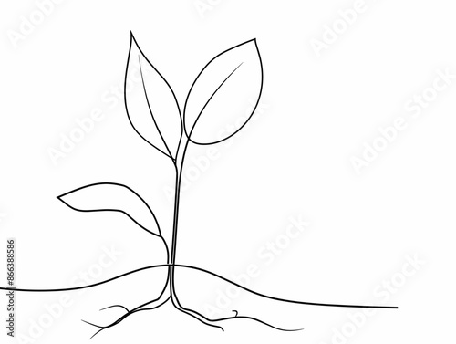 Sprouting Seed: A Metaphor for Growth, Emergence, and Renewal from Within
