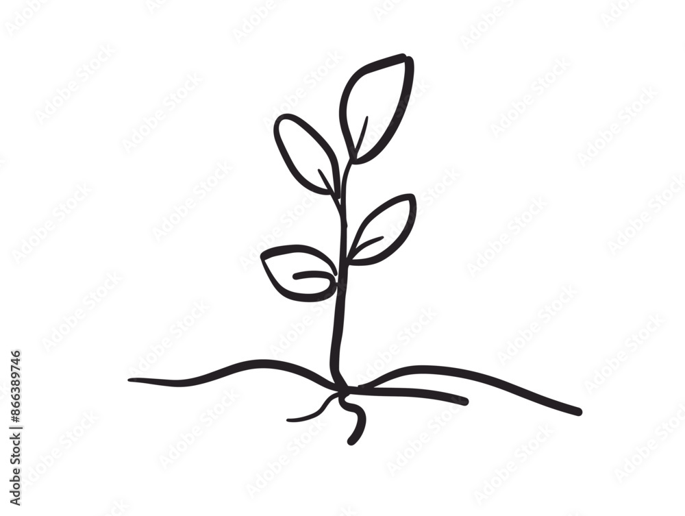 Growth and Emergence: A Seed's Journey from Dormancy to Life Growth and Emergence: A Seed's Journey from Dormancy to Life